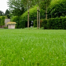 Газонная трава Изумрудная поляна 1кг (коробка) (большой пакет)