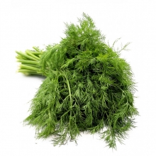 Укроп Душистый букет