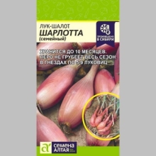 Лук Шарлотта шалот