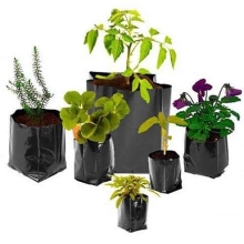 Пакет для рассады 17х23см 1,0л 10шт