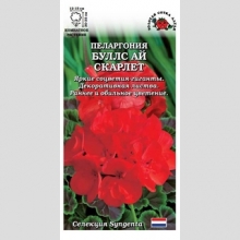 Пеларгония Буллс Ай Скарлет F1