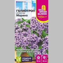 Гелиотроп Марина