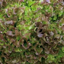 Салат Алые паруса