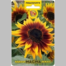 Подсолнух Мини-Макс Magma F1