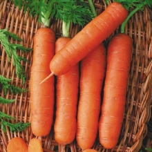 Морковь Пралине Без сердцевины