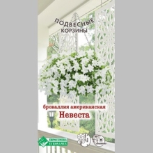 Броваллия Невеста (американская)