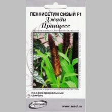 Пеннисетум Джади Принцесс F1 (сизый)