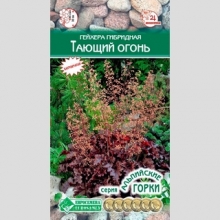 Гейхера Тающий Огонь (гибридная)