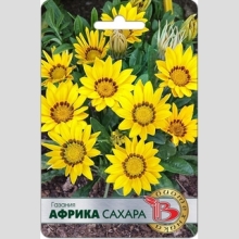 Газания (гацания) Африка Сахара