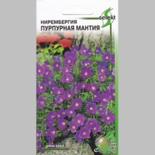 Нирембергия Пурпурная мантия