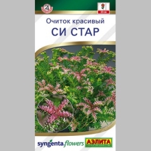 Очиток Си Стар (красивый)