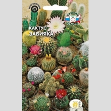 Кактус Забияка (смесь видов)