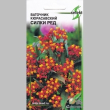 Ваточник Кюрасавский Силки Ред