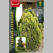 Туя Биота восточная (большой пакет)
