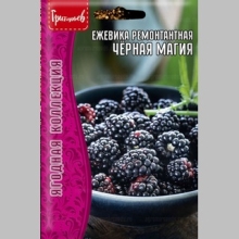 Ежевика Чёрная Магия (большой пакет)