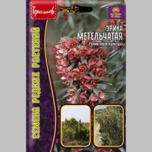 Эрика Метельчатая (большой пакет)