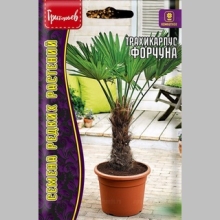 Трахикарпус Форчуна (пальма) (большой пакет)
