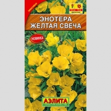 Энотера Желтая свеча