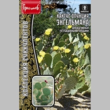 Кактус опунция Энгельмана (большой пакет)