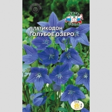 Платикодон Голубое озеро