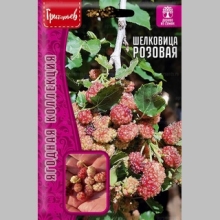 Шелковица Розовая (большой пакет)