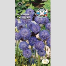 Букашник Лукашка (Ясион)