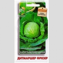 Капуста Дитмаршер Фрюер