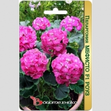 Пеларгония Мефисто F1 Роуз