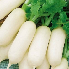 Редис Белый завтрак