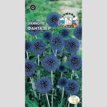 Эхинопс Фантазер (мордовник обыкновенный)