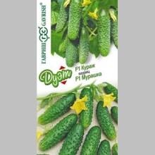 Дуэт Огурец Кураж F1 + Мурашка F1