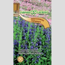 Змееголовник Горыныч