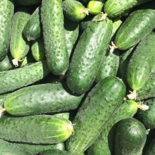 Огурец Бабушкин внучок F1