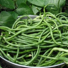 Вигна Кудесница