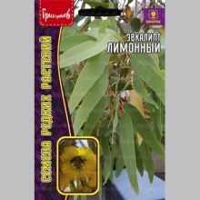 Эвкалипт Лимонный (большой пакет)