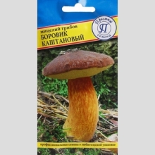 Грибы - Боровик каштановый 60 мл (мицелий)