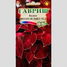 Колеус Визард Вельвет ред