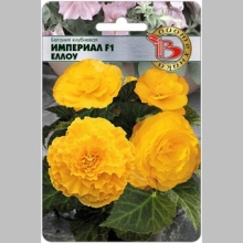 Бегония Империал F1 Еллоу (клубневая)
