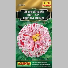 Цинния Поп Арт Вайт Ред Страйпс