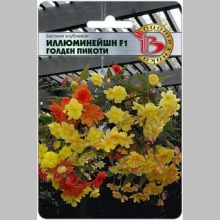 Бегония Иллюминейшн F1 Голден Пикоти (ампельная)
