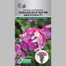 Гвоздика Лавандовая Магия Амазонки F1 (межвидовая)