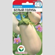 Баклажан Белый голубь