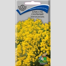 Алиссум Золотая россыпь скальный