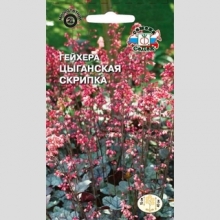 Гейхера Цыганская Скрипка (красно-белая)