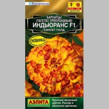 Бархатцы Индьюранс F1 Сансет Голд