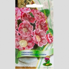 Глоксиния Импресс Красные чернила