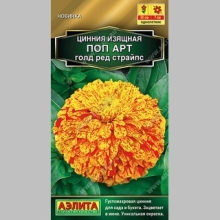 Цинния Поп Арт Голд Ред Страйпс