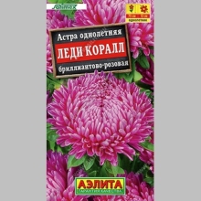 Астра Леди Коралл бриллиантово-розовая