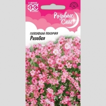 Гипсофила Розовая ползучая