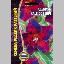 Адениум Kaleidoscope (тучный) (большой пакет)
